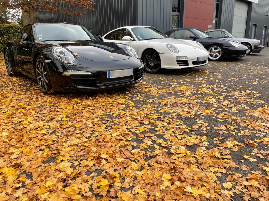Sortie du dimanche 21 Novembre 2021