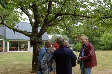 Image prise par Pierre-Yves le 20 Juillet 2025 - Muzillac Image prise par Pierre-Yves le 20 Juillet 2025 - Muzillac