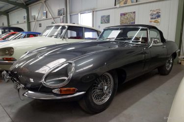 Image prise par Pierre-Yves le 20 Juillet 2025 - Muzillac Image prise par Pierre-Yves le 20 Juillet 2025 - Muzillac