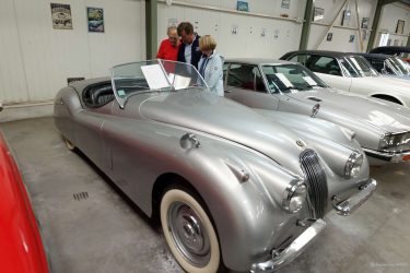 Image prise par Pierre-Yves le 20 Juillet 2025 - Muzillac Image prise par Pierre-Yves le 20 Juillet 2025 - Muzillac