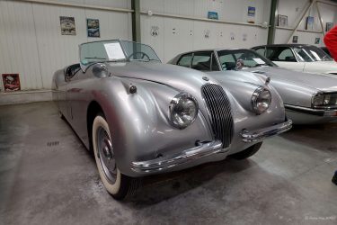 Image prise par Pierre-Yves le 20 Juillet 2025 - Muzillac Image prise par Pierre-Yves le 20 Juillet 2025 - Muzillac