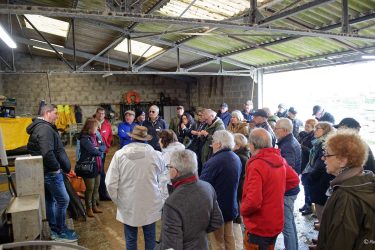 Visite chez l'ostréiculteur : La Belle de Penerf, Le Tour du Parc Visite chez l'ostréiculteur : La Belle de Penerf, Le Tour du Parc