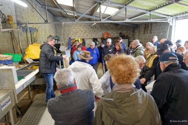 Visite chez l'ostréiculteur : La Belle de Penerf, Le Tour du Parc Visite chez l'ostréiculteur : La Belle de Penerf, Le Tour du Parc
