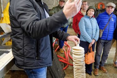 Visite chez l'ostréiculteur : La Belle de Penerf, Le Tour du Parc Visite chez l'ostréiculteur : La Belle de Penerf, Le Tour du Parc