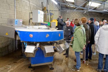 Visite chez l'ostréiculteur : La Belle de Penerf, Le Tour du Parc Visite chez l'ostréiculteur : La Belle de Penerf, Le Tour du Parc