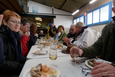 Visite chez l'ostréiculteur : La Belle de Penerf, Le Tour du Parc Visite chez l'ostréiculteur : La Belle de Penerf, Le Tour du Parc