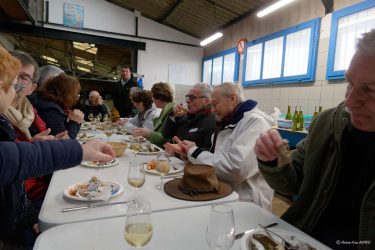 Visite chez l'ostréiculteur : La Belle de Penerf, Le Tour du Parc Visite chez l'ostréiculteur : La Belle de Penerf, Le Tour du Parc