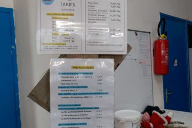 Visite chez l'ostréiculteur : La Belle de Penerf, Le Tour du Parc Visite chez l'ostréiculteur : La Belle de Penerf, Le Tour du Parc