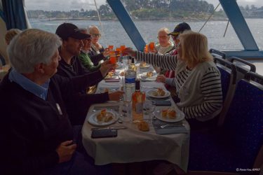 Sortie croisière dans le Golfe le 12 Avril 2026 : apéritif et déjeuner à bord de la vedette Jules Verne. Sortie croisière dans le Golfe le 12 Avril 2026 : apéritif et déjeuner à bord de la vedette Jules Verne.
