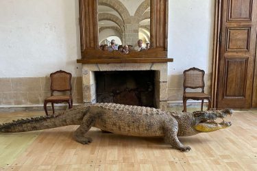 Pique-nique au Chateau de Loyat le 19 Juillet 2026 : Photo de Martine
