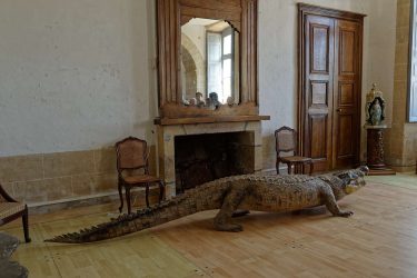Pique-nique au Chateau de Loyat le 19 Juillet 2026