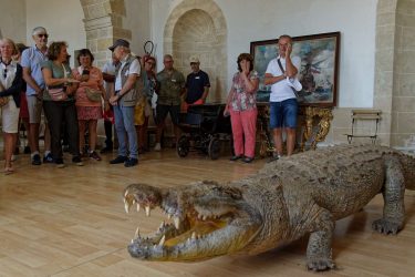 Pique-nique au Chateau de Loyat le 19 Juillet 2026