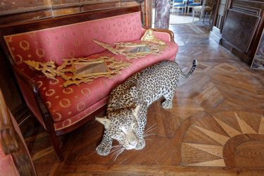 Pique-nique au Chateau de Loyat le 19 Juillet 2026