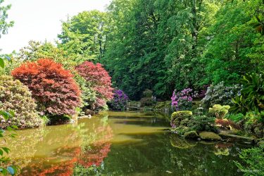 Sortie weekend à Fougères les 23 et 24 Mai 2026: Parc botanique de Haute Bretagne Sortie weekend à Fougères les 23 et 24 Mai 2026: Parc botanique de Haute Bretagne