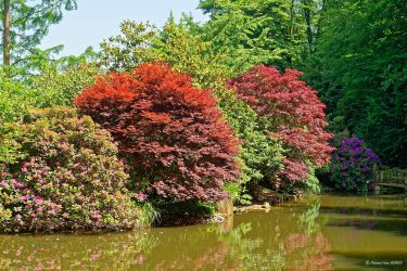 Sortie weekend à Fougères les 23 et 24 Mai 2026: Parc botanique de Haute Bretagne Sortie weekend à Fougères les 23 et 24 Mai 2026: Parc botanique de Haute Bretagne