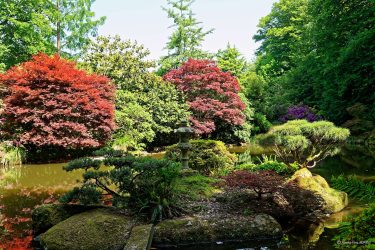 Sortie weekend à Fougères les 23 et 24 Mai 2026: Parc botanique de Haute Bretagne Sortie weekend à Fougères les 23 et 24 Mai 2026: Parc botanique de Haute Bretagne