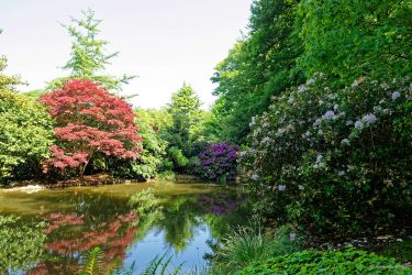 Sortie weekend à Fougères les 23 et 24 Mai 2026: Parc botanique de Haute Bretagne Sortie weekend à Fougères les 23 et 24 Mai 2026: Parc botanique de Haute Bretagne