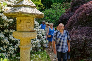 Sortie weekend à Fougères les 23 et 24 Mai 2026: Parc botanique de Haute Bretagne Sortie weekend à Fougères les 23 et 24 Mai 2026: Parc botanique de Haute Bretagne