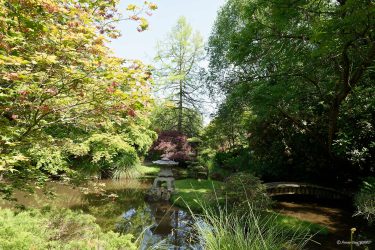 Sortie weekend à Fougères les 23 et 24 Mai 2026: Parc botanique de Haute Bretagne Sortie weekend à Fougères les 23 et 24 Mai 2026: Parc botanique de Haute Bretagne