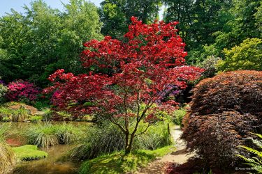 Sortie weekend à Fougères les 23 et 24 Mai 2026: Parc botanique de Haute Bretagne Sortie weekend à Fougères les 23 et 24 Mai 2026: Parc botanique de Haute Bretagne