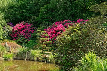Sortie weekend à Fougères les 23 et 24 Mai 2026: Parc botanique de Haute Bretagne Sortie weekend à Fougères les 23 et 24 Mai 2026: Parc botanique de Haute Bretagne