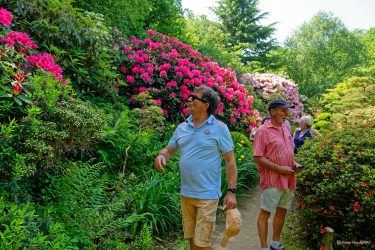 Sortie weekend à Fougères les 23 et 24 Mai 2026: Parc botanique de Haute Bretagne Sortie weekend à Fougères les 23 et 24 Mai 2026: Parc botanique de Haute Bretagne