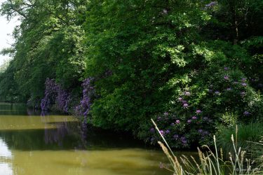 Sortie weekend à Fougères les 23 et 24 Mai 2026: Parc botanique de Haute Bretagne Sortie weekend à Fougères les 23 et 24 Mai 2026: Parc botanique de Haute Bretagne