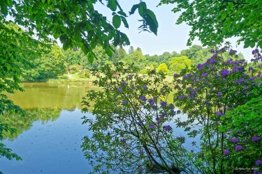 Sortie weekend à Fougères les 23 et 24 Mai 2026: Parc botanique de Haute Bretagne Sortie weekend à Fougères les 23 et 24 Mai 2026: Parc botanique de Haute Bretagne