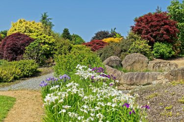 Sortie weekend à Fougères les 23 et 24 Mai 2026: Parc botanique de Haute Bretagne Sortie weekend à Fougères les 23 et 24 Mai 2026: Parc botanique de Haute Bretagne