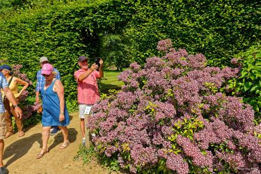 Sortie weekend à Fougères les 23 et 24 Mai 2026: Parc botanique de Haute Bretagne Sortie weekend à Fougères les 23 et 24 Mai 2026: Parc botanique de Haute Bretagne