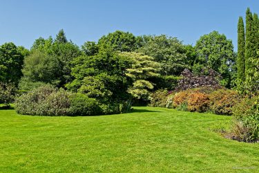 Sortie weekend à Fougères les 23 et 24 Mai 2026: Parc botanique de Haute Bretagne Sortie weekend à Fougères les 23 et 24 Mai 2026: Parc botanique de Haute Bretagne